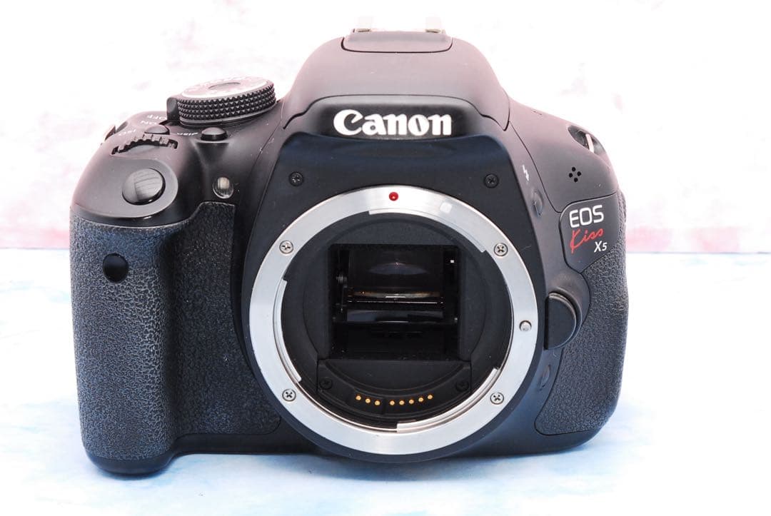 キャノン Kiss X5☆一眼レフカメラ☆カメラデビュー☆ブレずに簡単撮影
