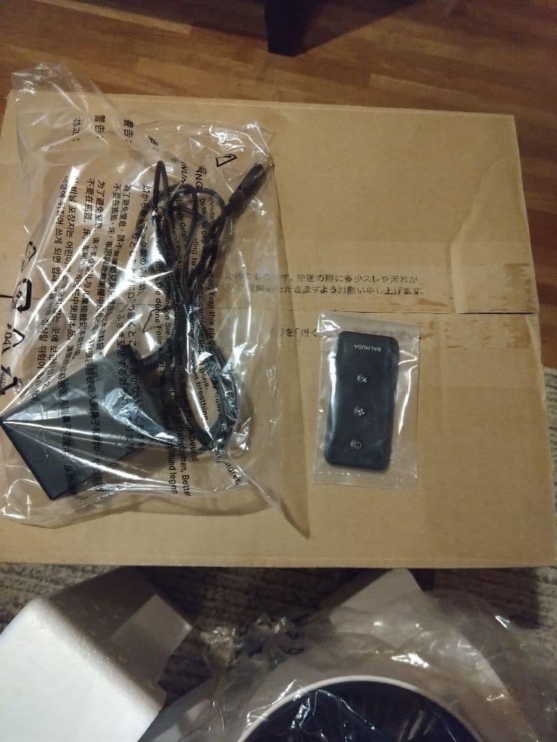 BALMUDA GreenFan C2 2020年製 【24時間以内発送】