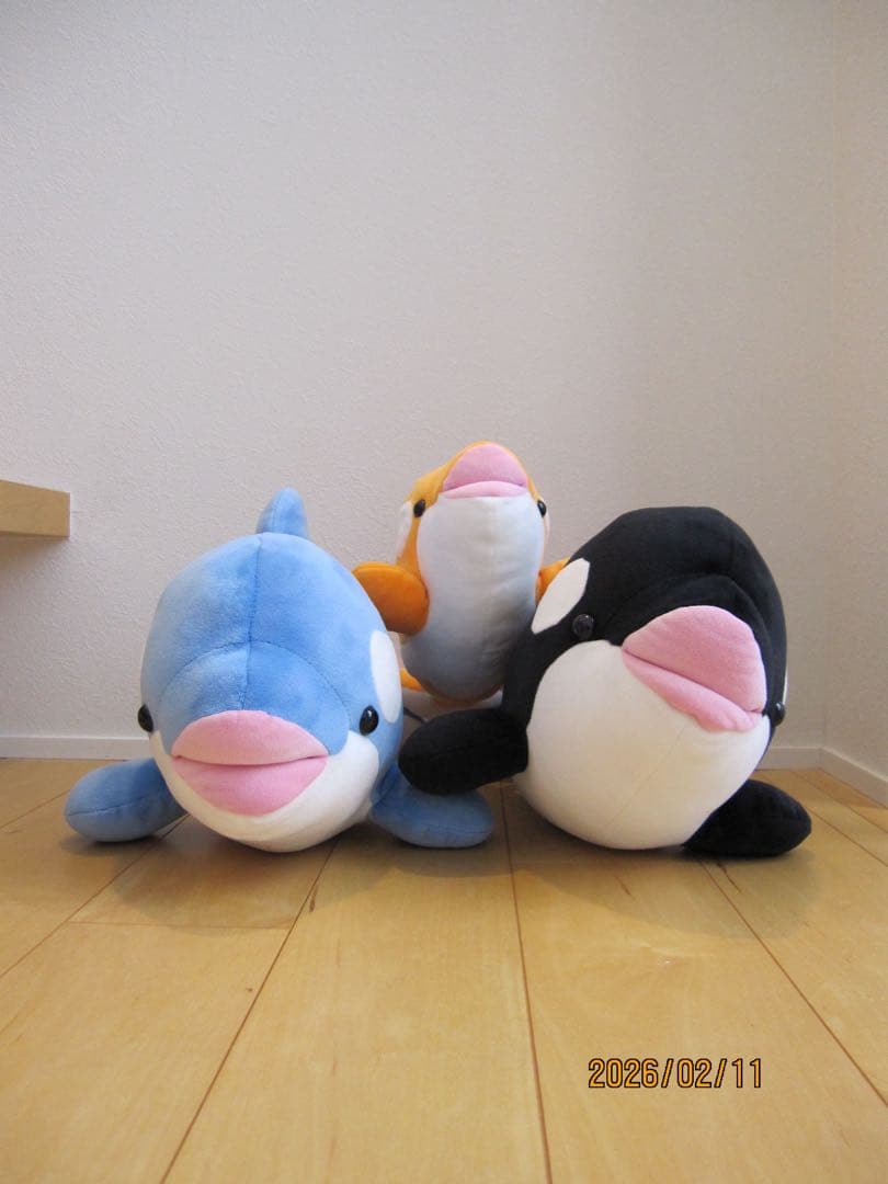 Canon IXY DIGITAL 510 IS 箱付 動作確認済 美品