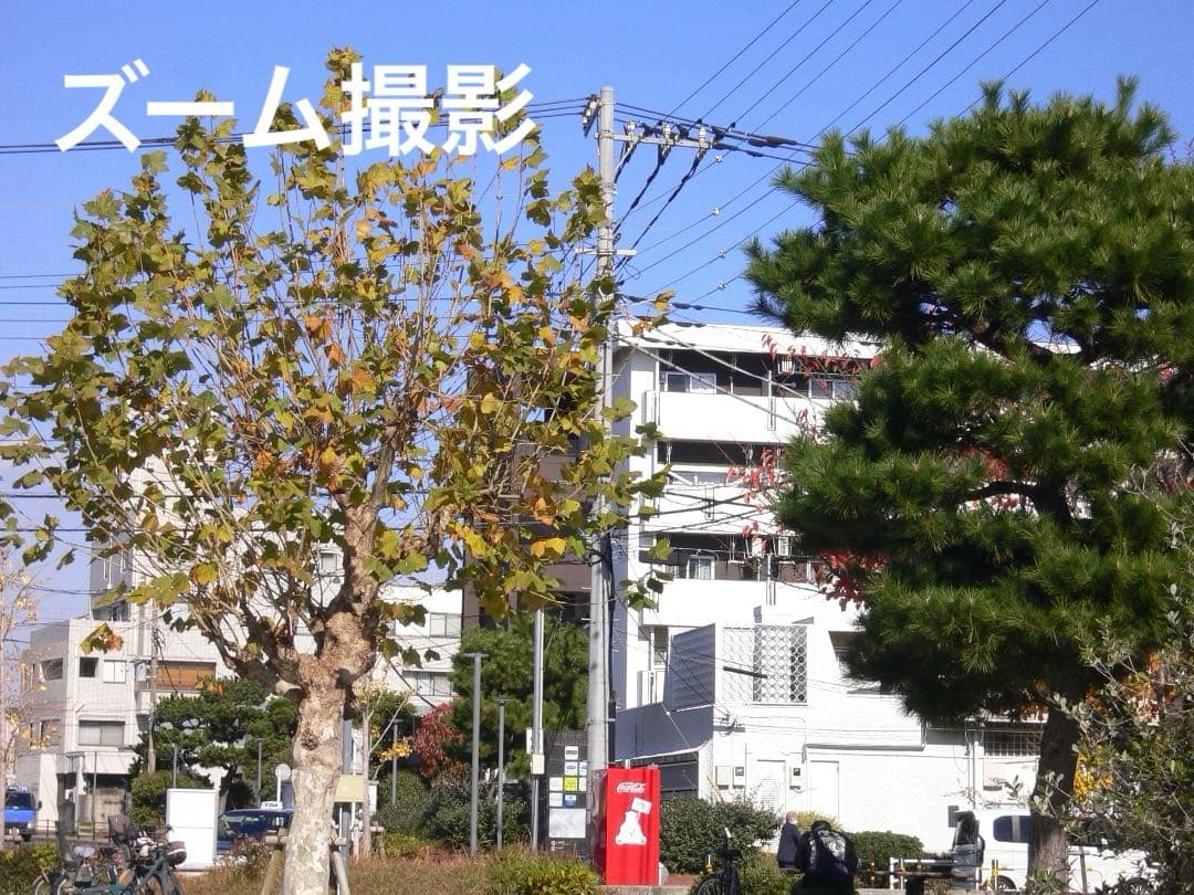 実写美⭕️良品【動作確認済】パナソニック LUMIX DMC-FX7 シルバー