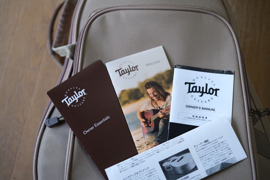 Taylor LTD GS Mini 限定モデル