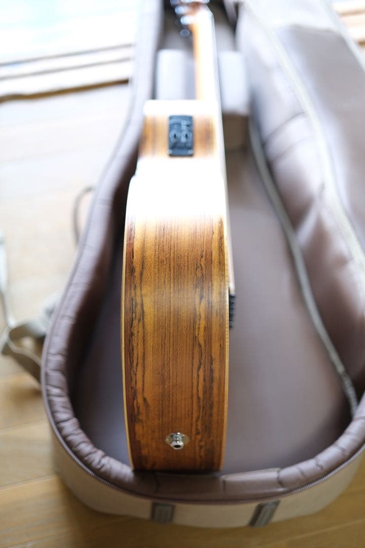 Taylor LTD GS Mini 限定モデル