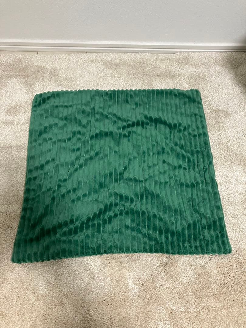 LOOSY ビーズソファ グリーン HUGME