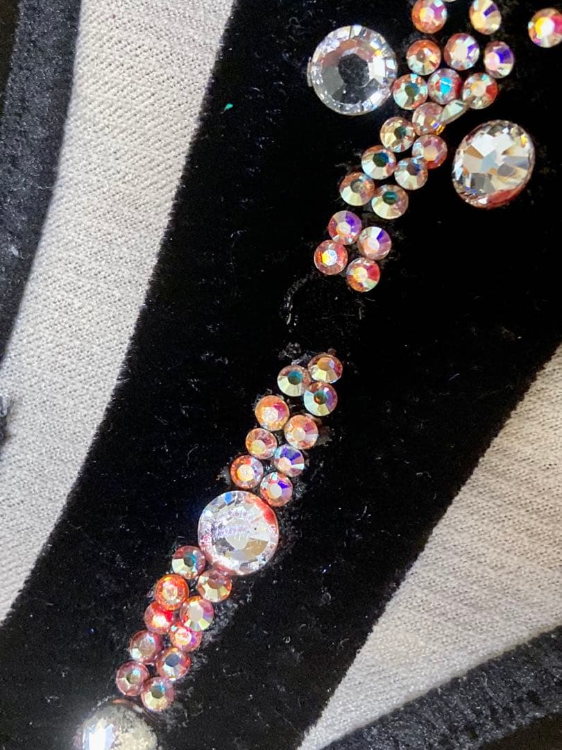 JBBF公認 フィジーク ビキニ