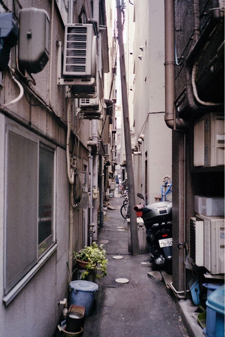 ヤシカ YASHICA ELECTRO 35 CC フィルムカメラ 作例あり