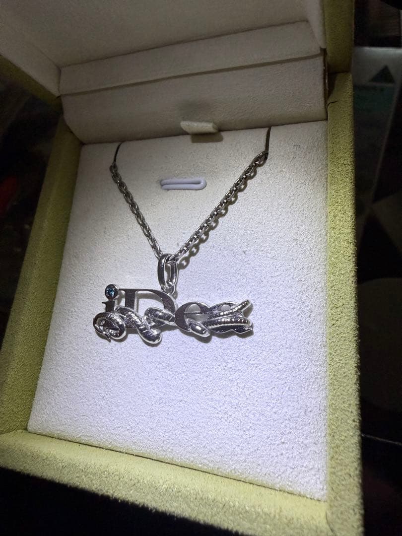 数量限定 10点 ideaswam ネックレス