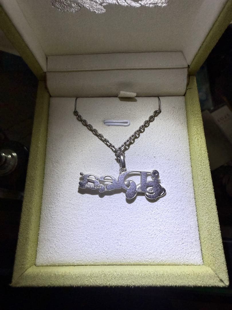 数量限定 10点 ideaswam ネックレス