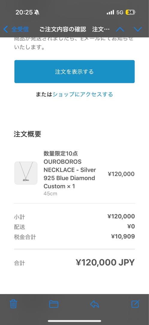 数量限定 10点 ideaswam ネックレス