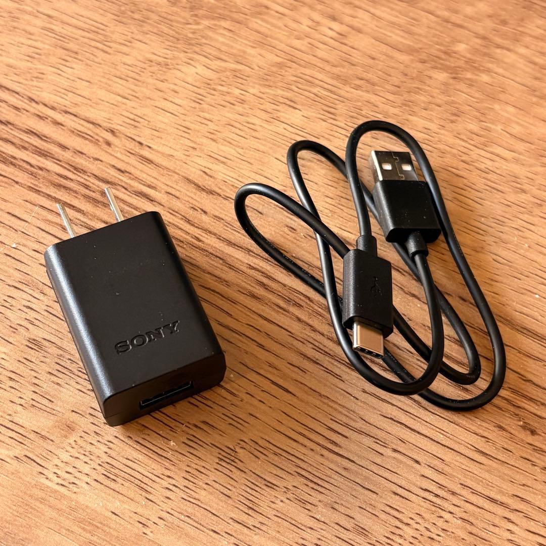 SONY ZV-E10 ミラーレス一眼カメラ 標準レンズ付き+おまけ