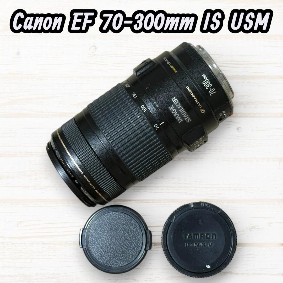 Canon ズームレンズ EF 70-300mm IS USM #118