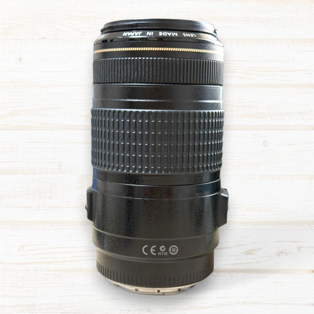 Canon ズームレンズ EF 70-300mm IS USM #118