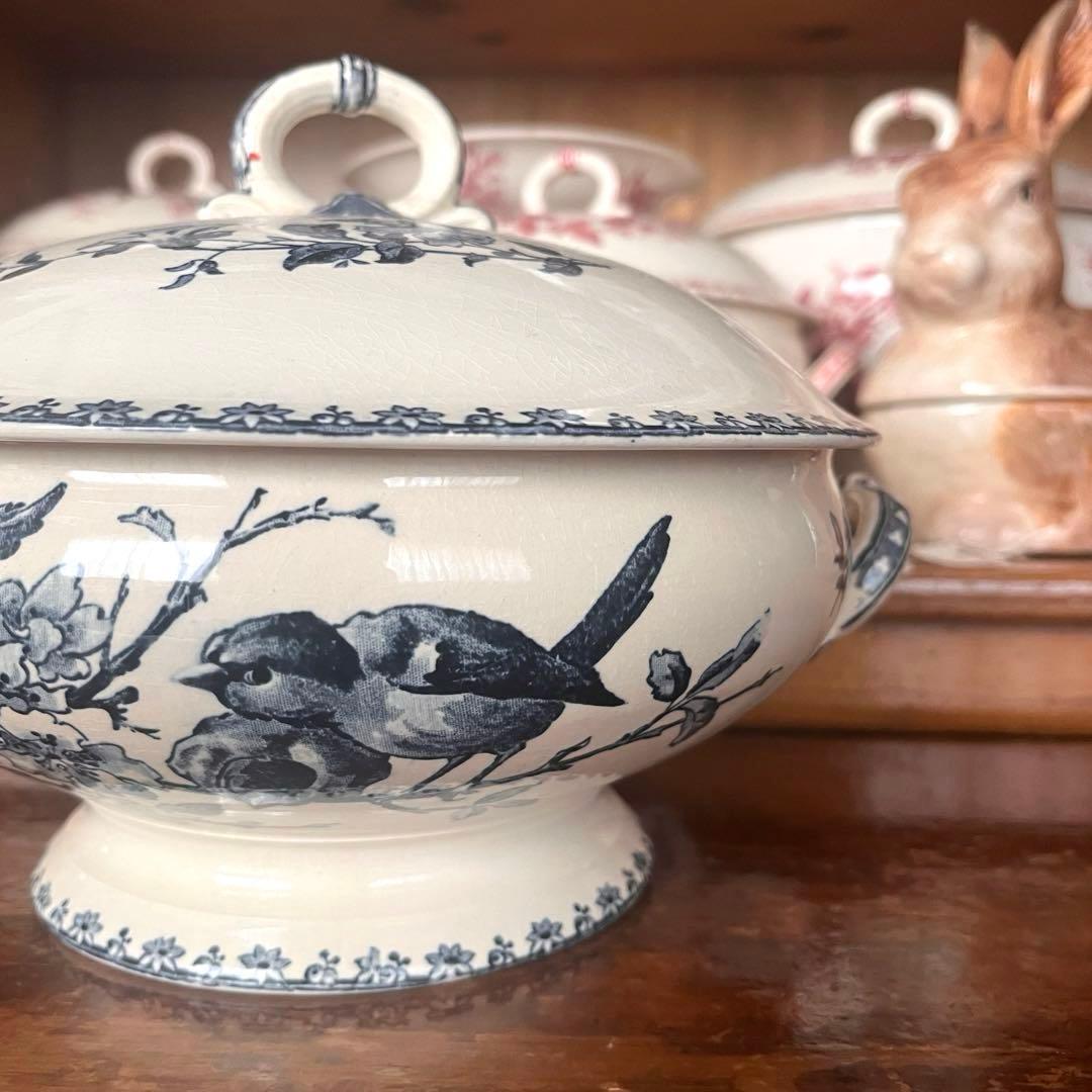 希少＊美品＊仏アンティーク サルグミンヌ favoriレギュミエ・スーピエール