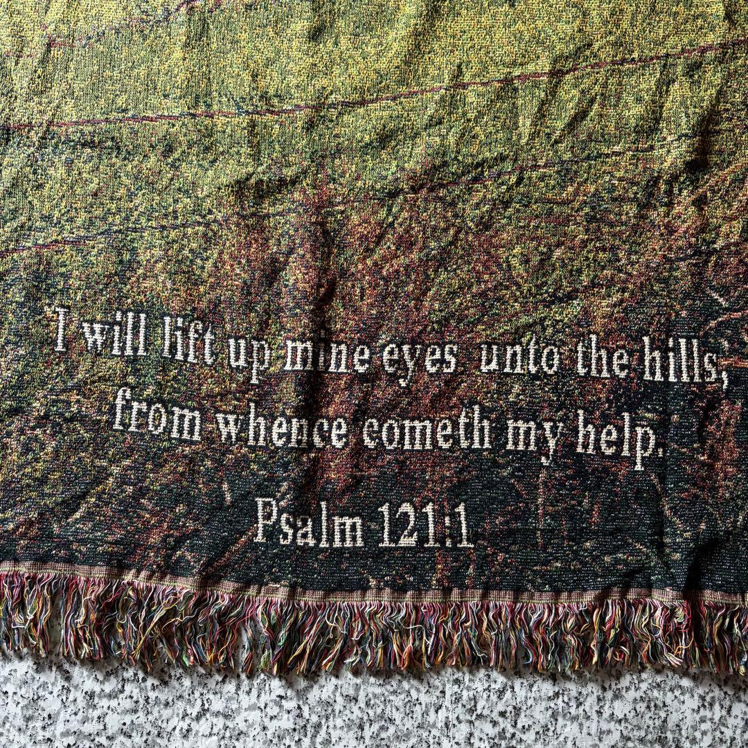 【90sオールド】風景画　フリンジ付き　ヴィンテージラグ　タペストリー