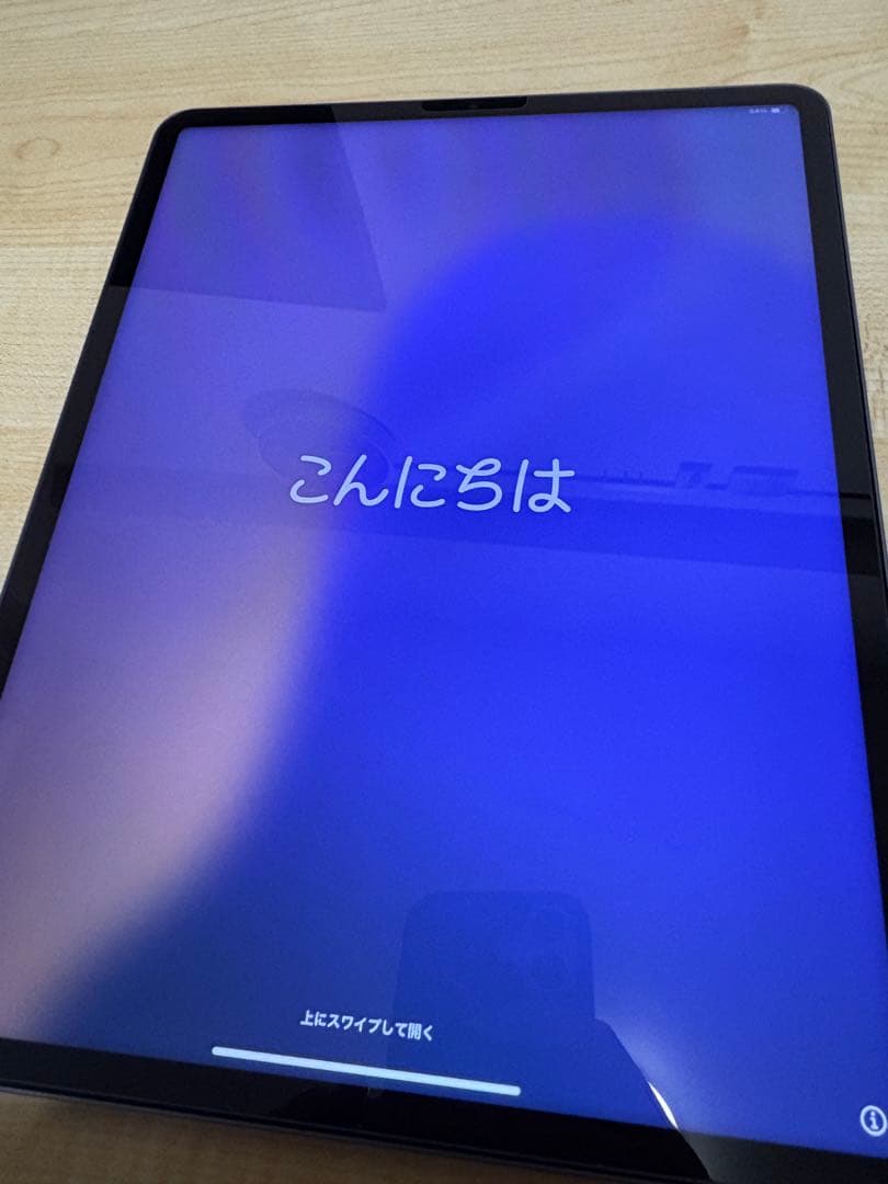 Ipad pro 第6世代 12.9インチ 256GB