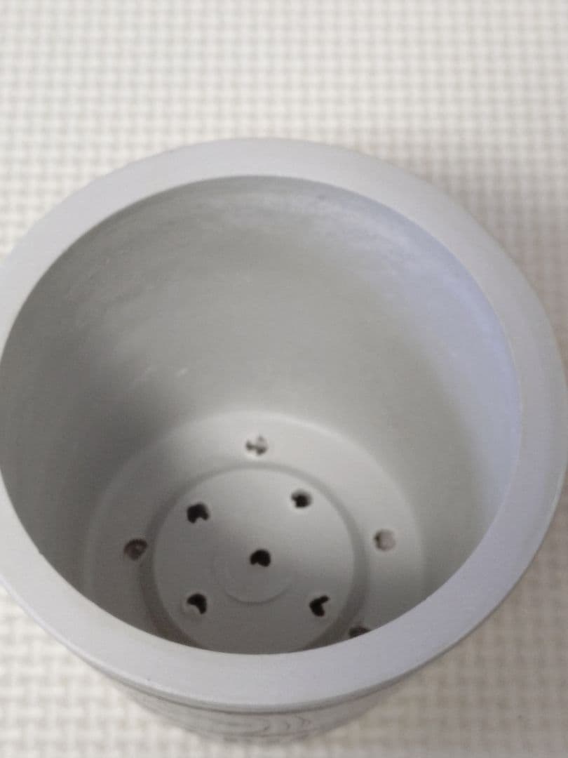 BOTANIZE Backside works. プラ鉢