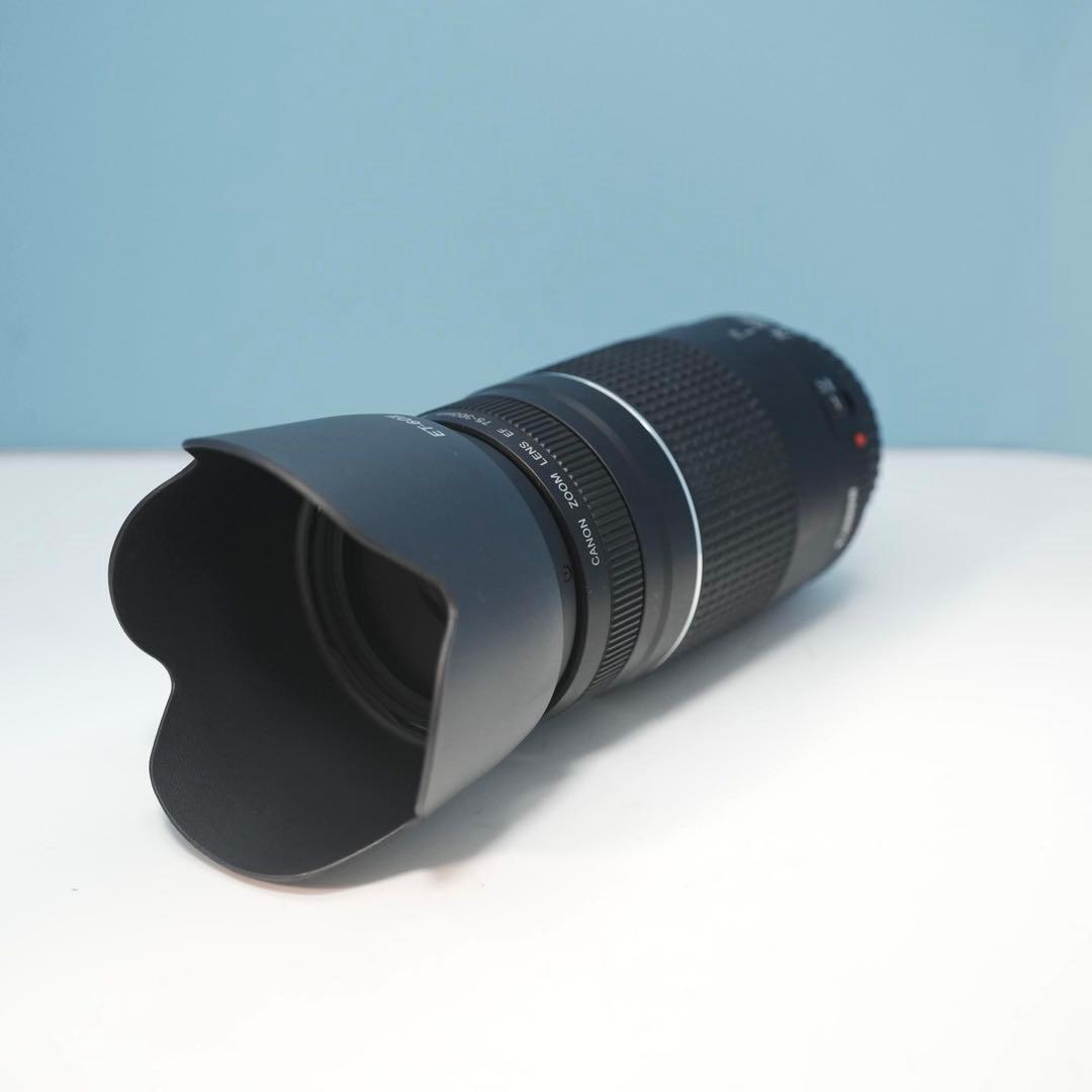 Canon純正 75-300mm 望遠レンズ 美品 a5157