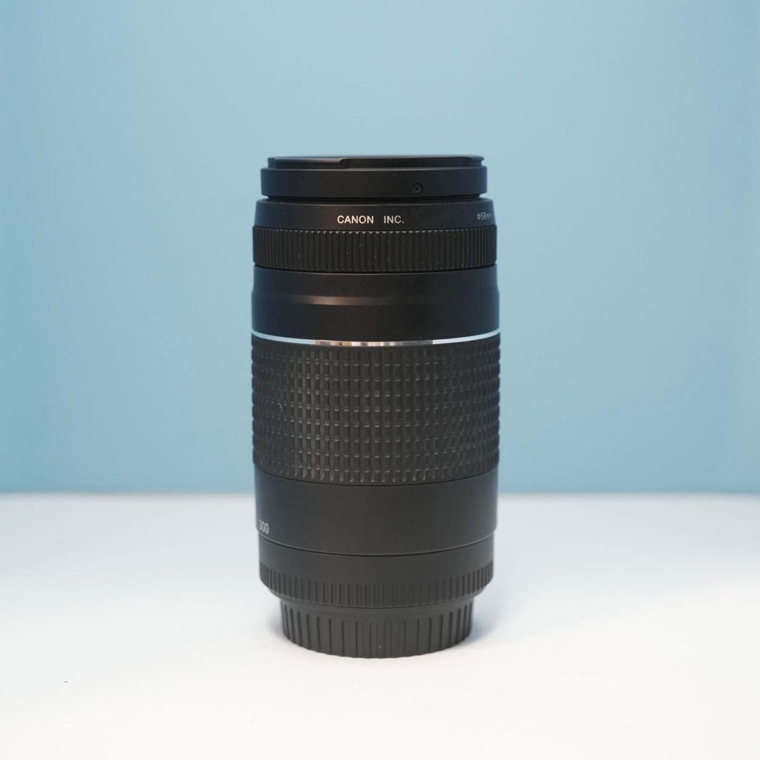 Canon純正 75-300mm 望遠レンズ 美品 a5157