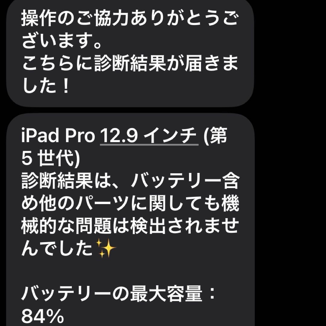 ipad pro 第5世代　12.9inch 128G wi-fiモデル