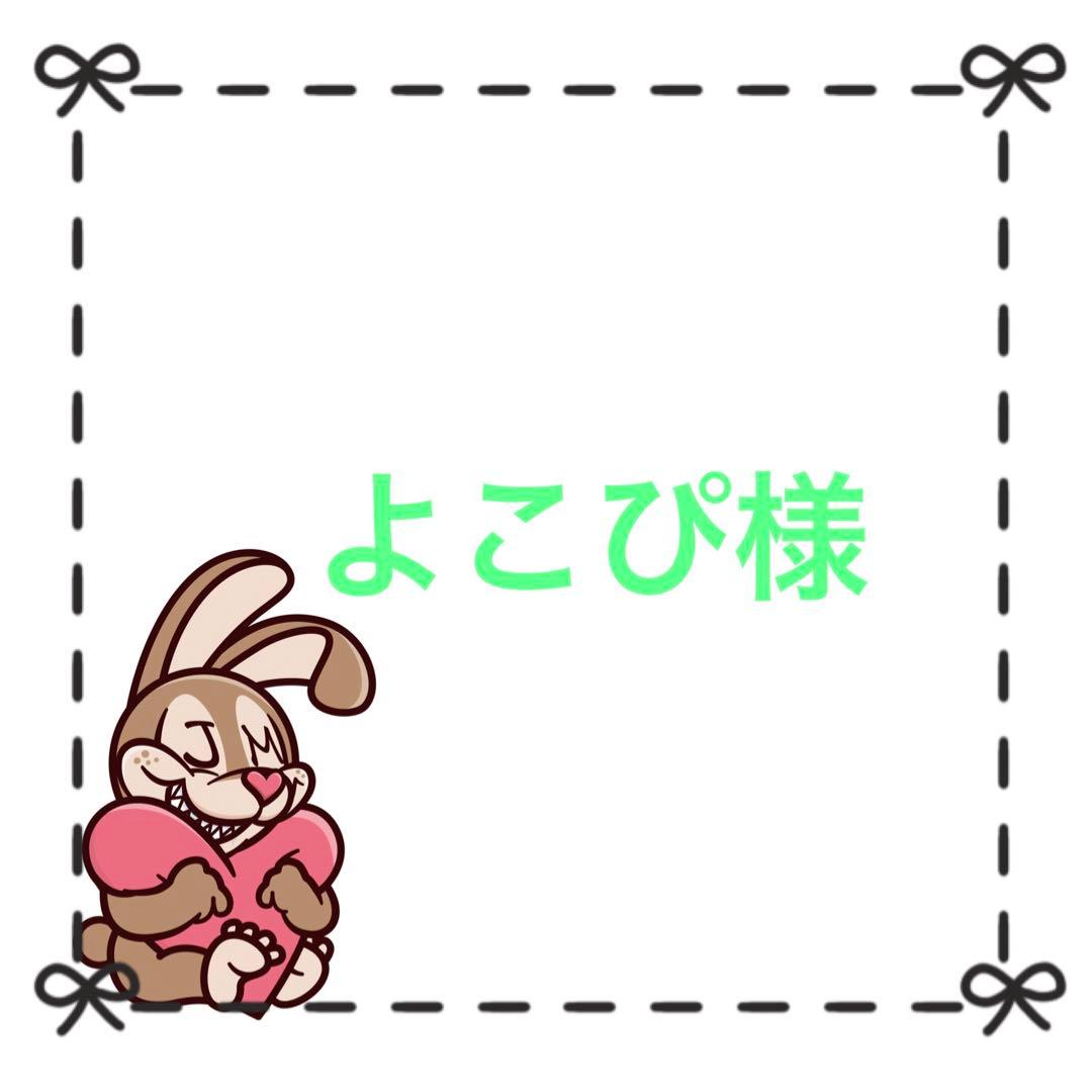 専用‼️新品⭐️ノースフェイス薄手レディースグースダウンジャケット　ネイビー　L