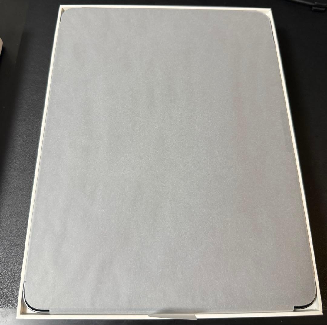iPad Pro 13インチ (M4) Wi-Fi + Cellular