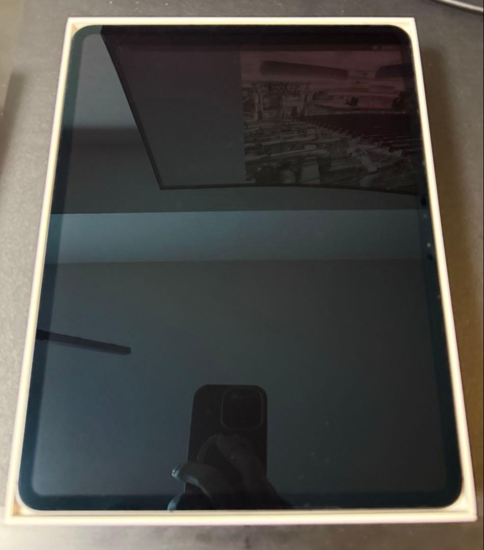 iPad Pro 13インチ (M4) Wi-Fi + Cellular