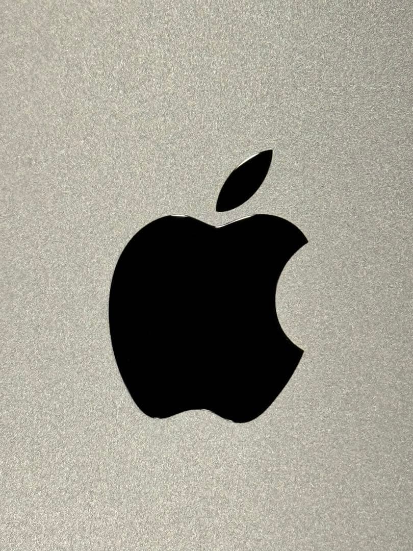 iPad pro M4 13インチ 256GB Cellularスペースブラック