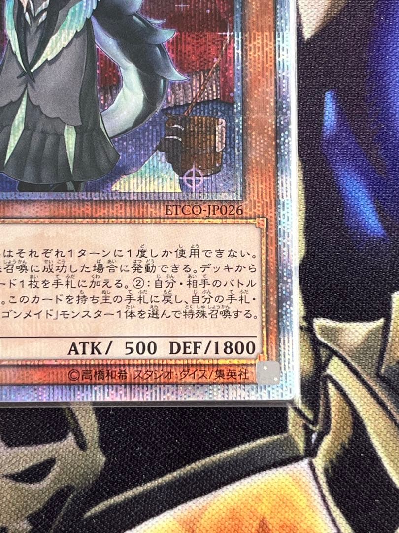 ドラゴンメイド•チェイム　20th