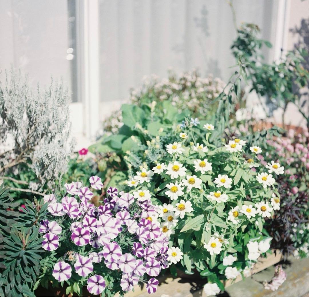 二眼レフ　カメラ　ローライコード