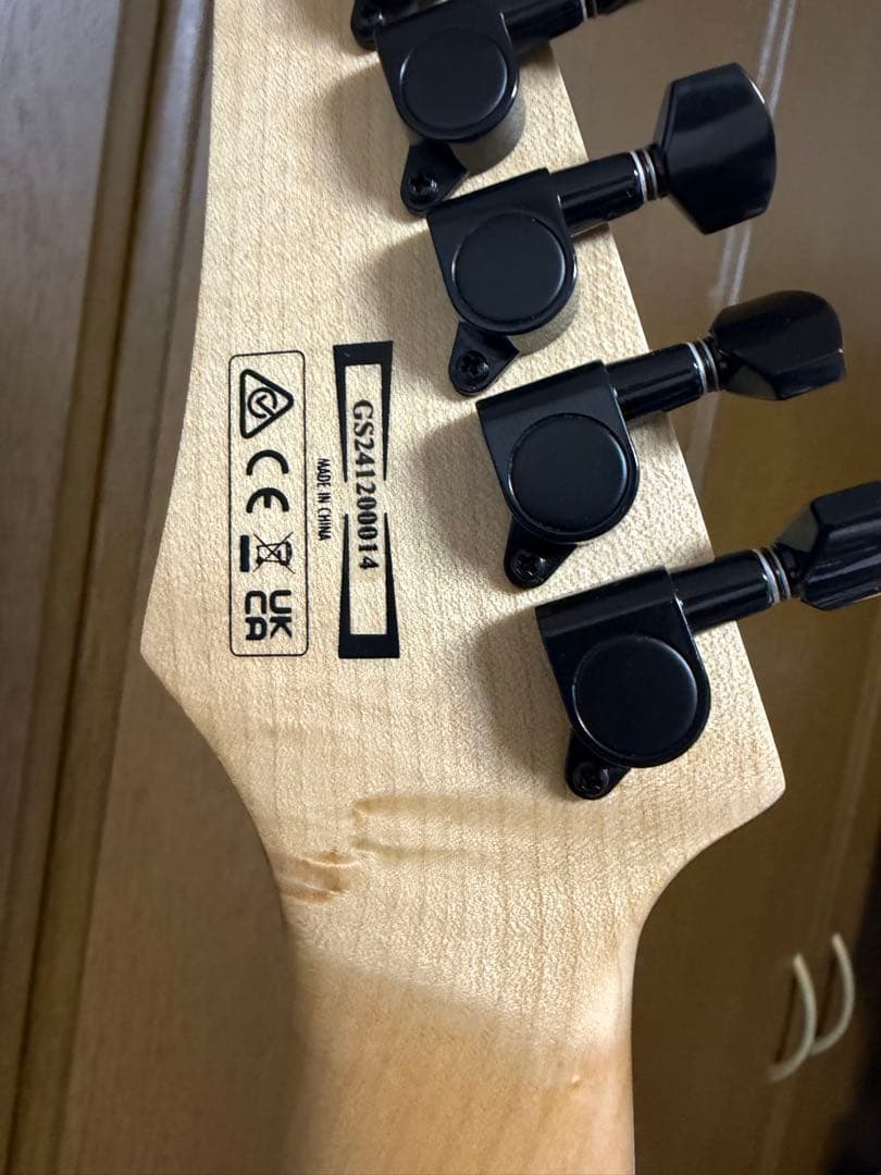 Ibanez Gio GRG121DX（2024年12月製）ケース付｜ほぼ未使用