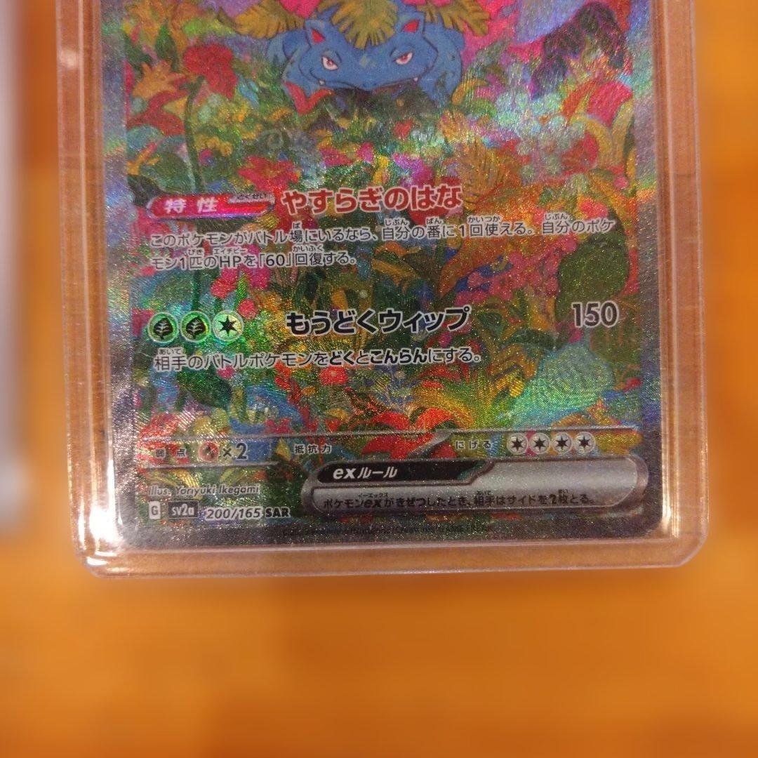 ポケモンカード フシギダネ フシギソウ フシギバナ