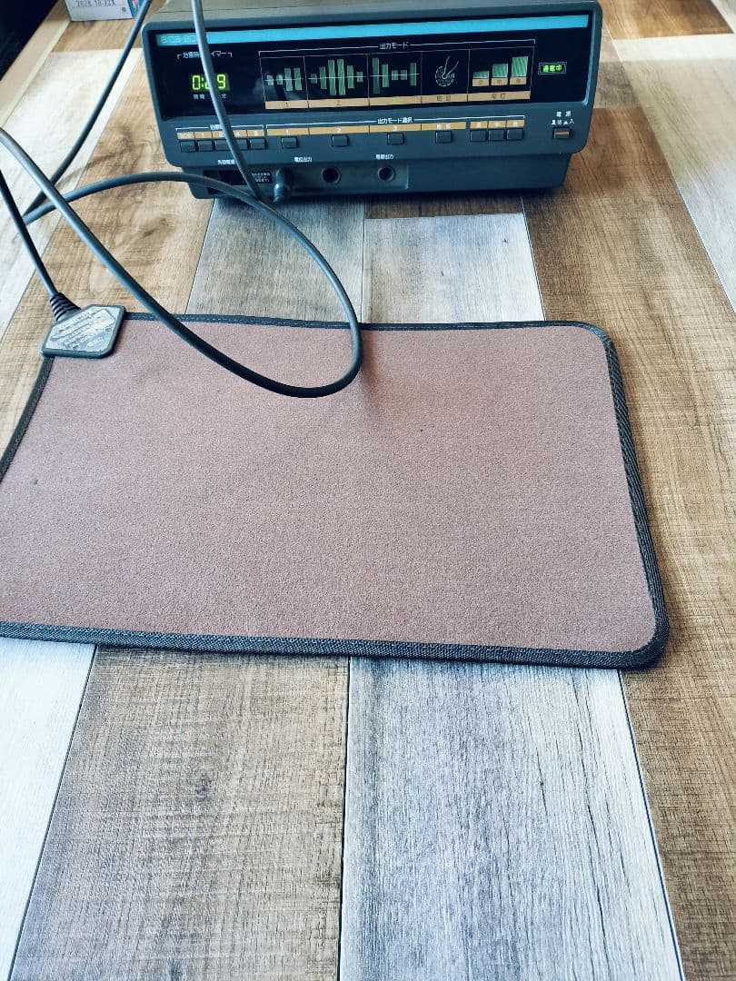 伊藤超短波 家庭用電位機器 BIOS-9000 　検電器 通電テストOk