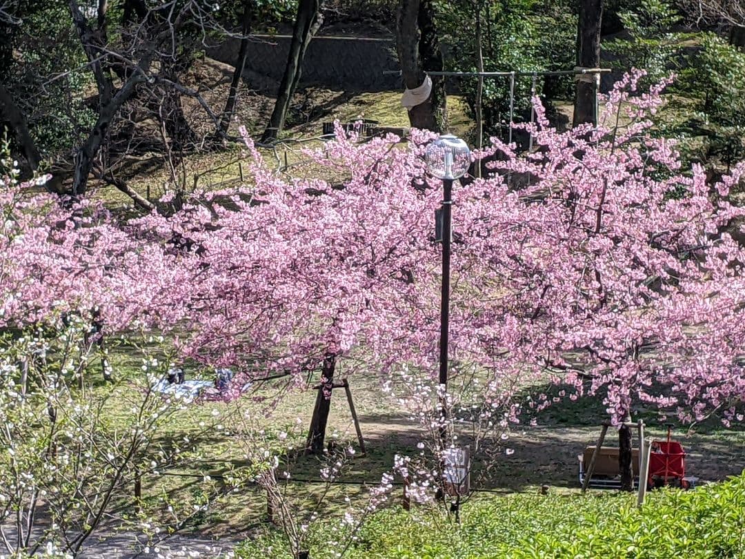 【美品】RED MOON / ブラック レザーウォレット チェーン