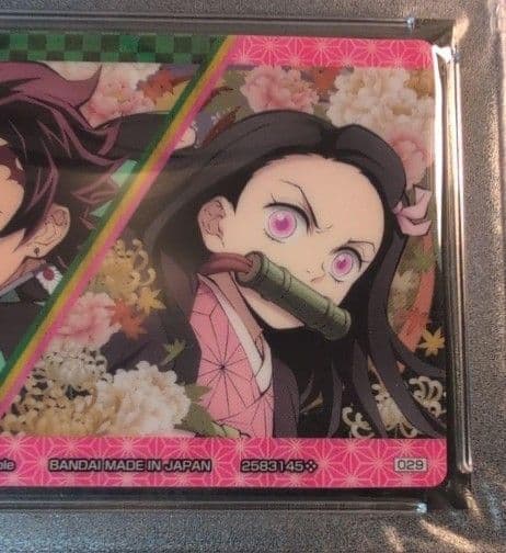 PSA１０ 鬼滅の刃　世界に2枚 タンジロウ＆ネズコ