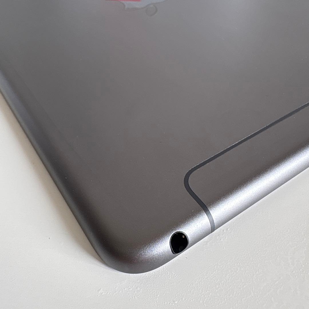 【美品】iPad mini5 Wi-Fi+Cellular モデル64GB(5)