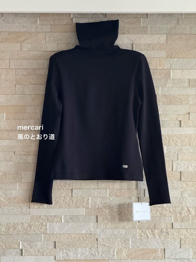 【新品タグ付✨現行品】デイジーリン ウォッシャブルオードリーハイネック 黒 40