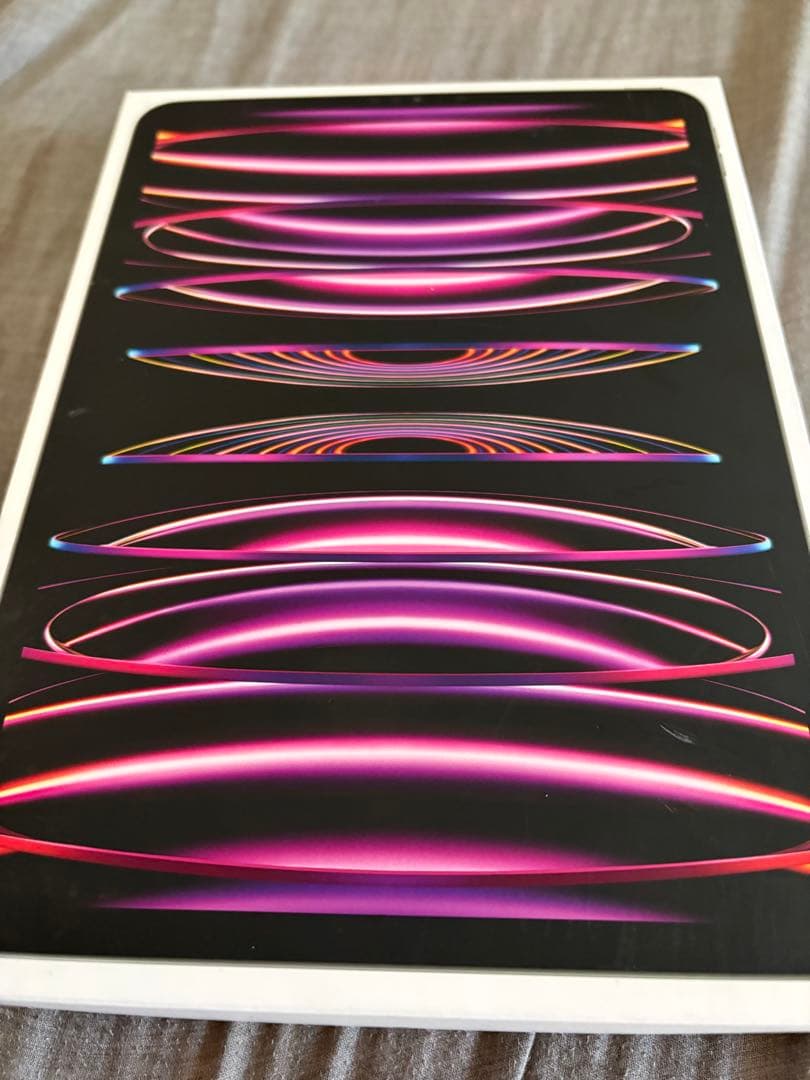 Apple iPad Pro 第4世代 256GB シルバー 本体