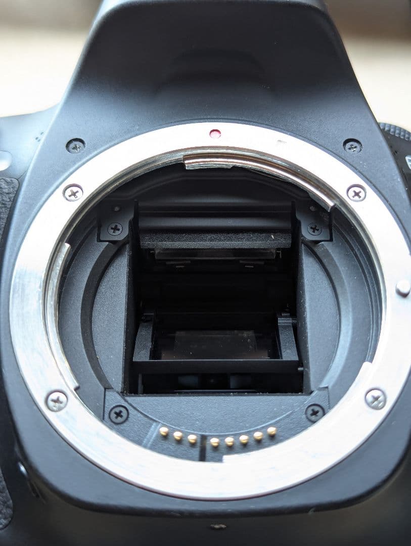 CANON 80D wifi len セット