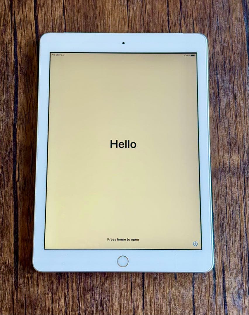 GW値下げ！iPad 第5世代　32GB 本体のみ