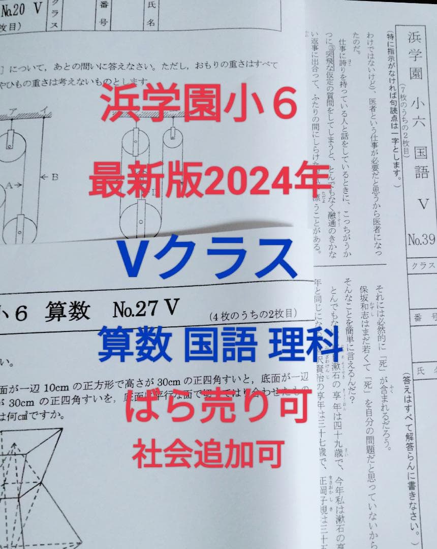 浜学園小6　Vクラス　３科目１年分　復習テスト　算数　国語　理科