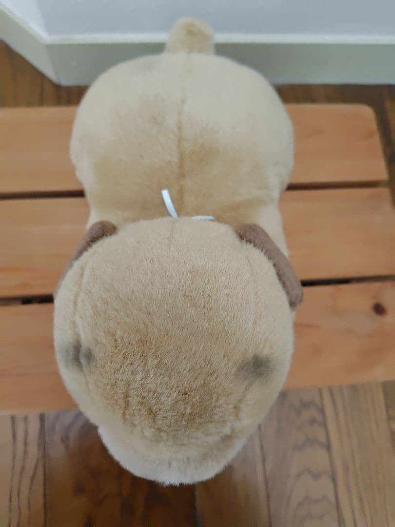 ころわん　ぬいぐるみ　吉徳