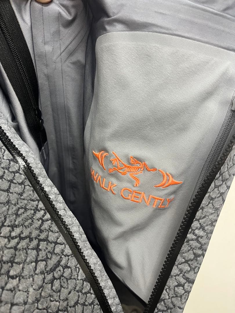 ARC'TERYX アークテリクス　beta SL ウォークジェントリー　L