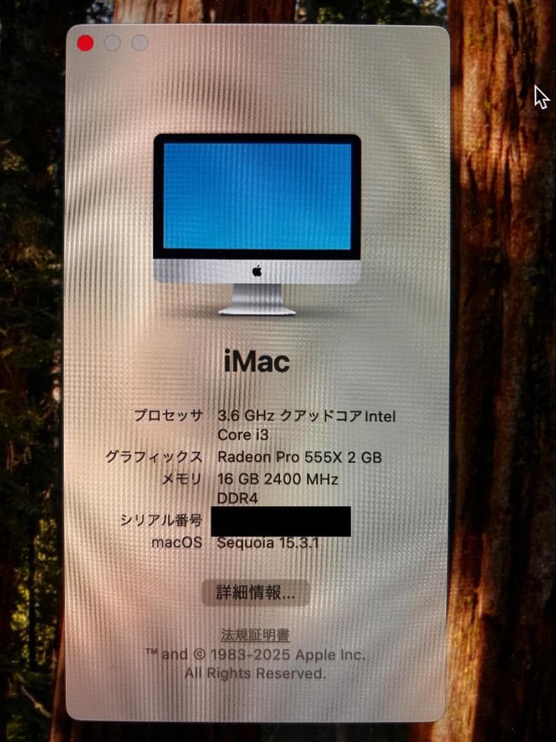 APPLE iMac（Retina 4K,21.5インチ,2019）