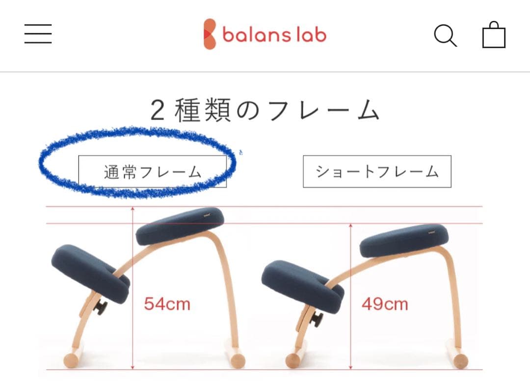 バランスラボ バランスチェア バランスイージー レッド 中古品