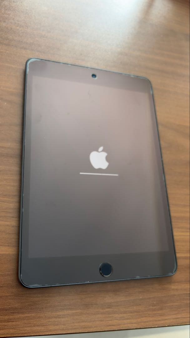 iPad本体 iPad mini5 A2124