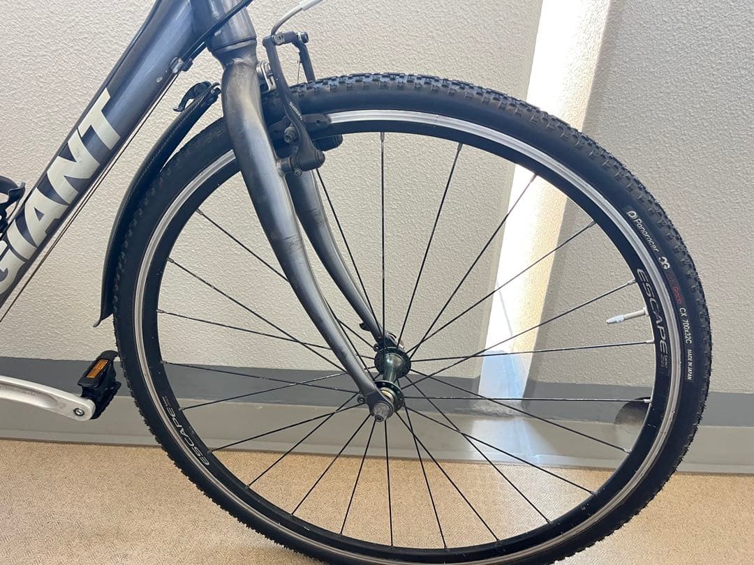 GIANT クロスバイク ESCAPE R3 カスタマイズ　S