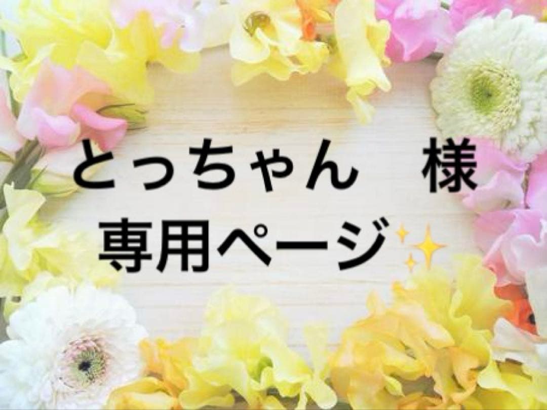 とっちゃん　様✨専用ページ✨