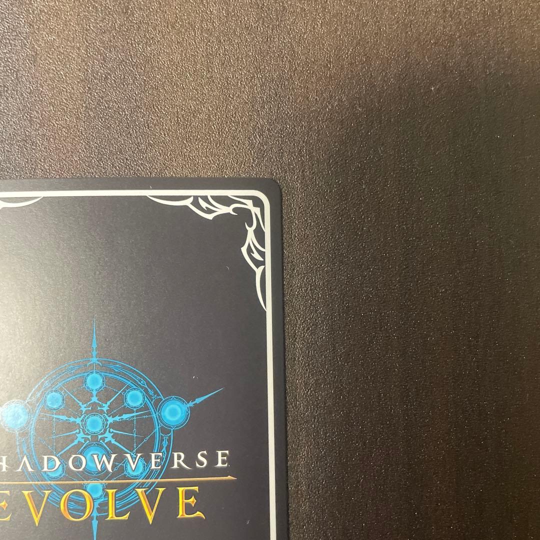 す*じ様 シャドウバースエボルヴ　ウマ娘　まとめ売り　【バラ売り可】