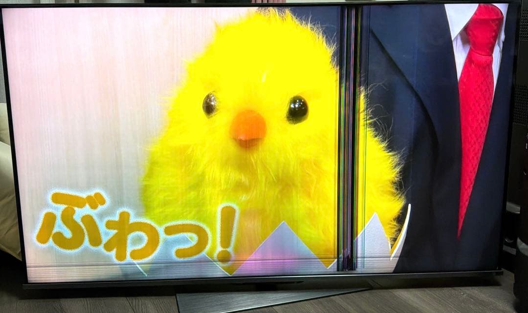 東芝　REGZA 液晶テレビ　55Z670K