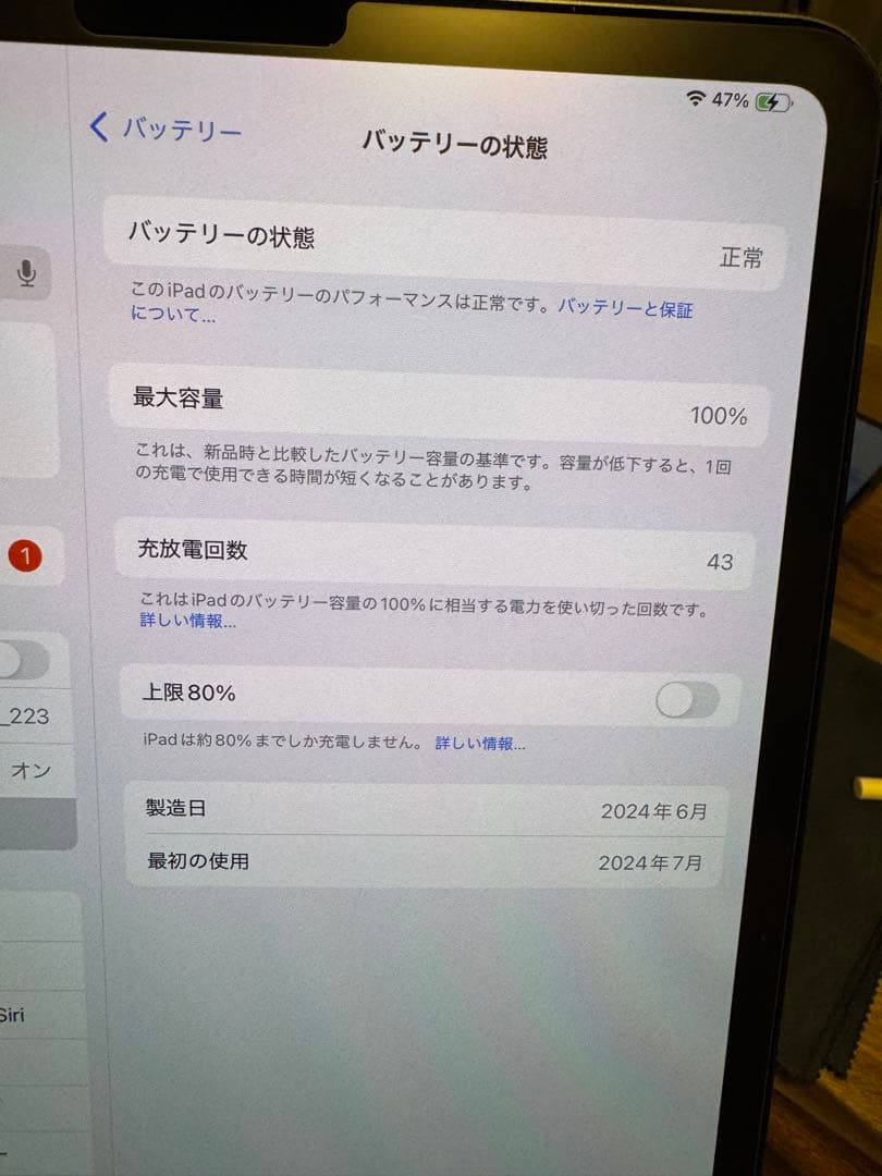 超美品 iPad Pro M4 11インチ Wi-Fi 256GB