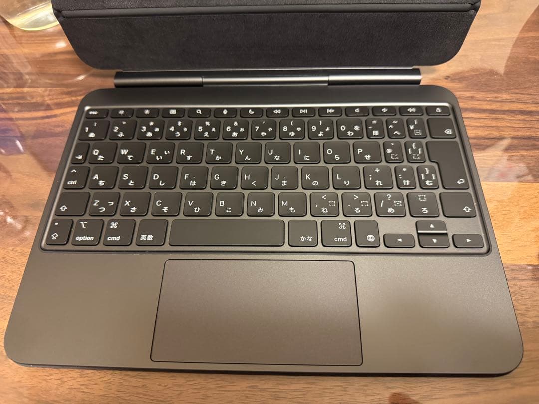 超美品 iPad Pro M4 11インチ Wi-Fi 256GB